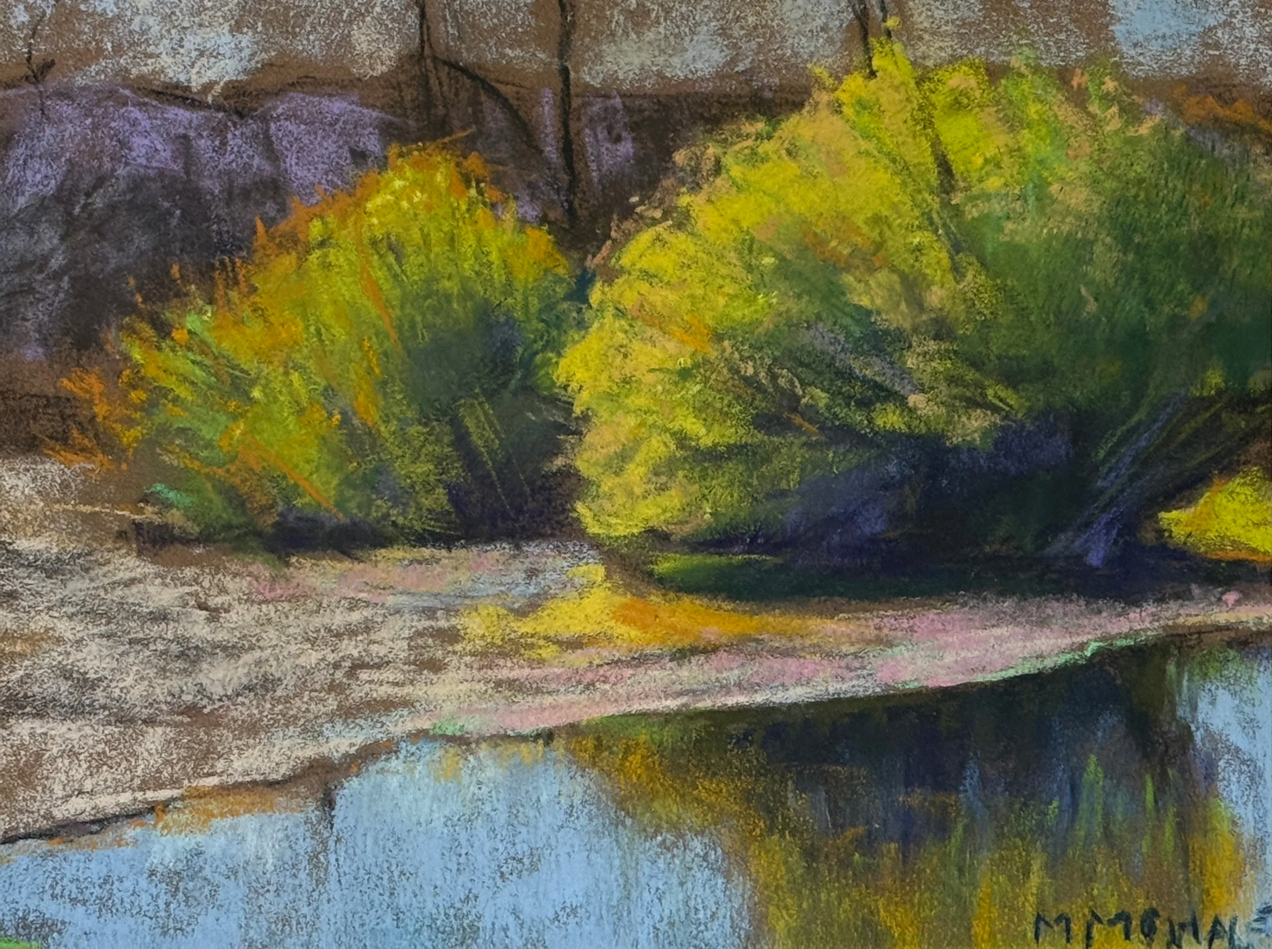 Desert Oasis
