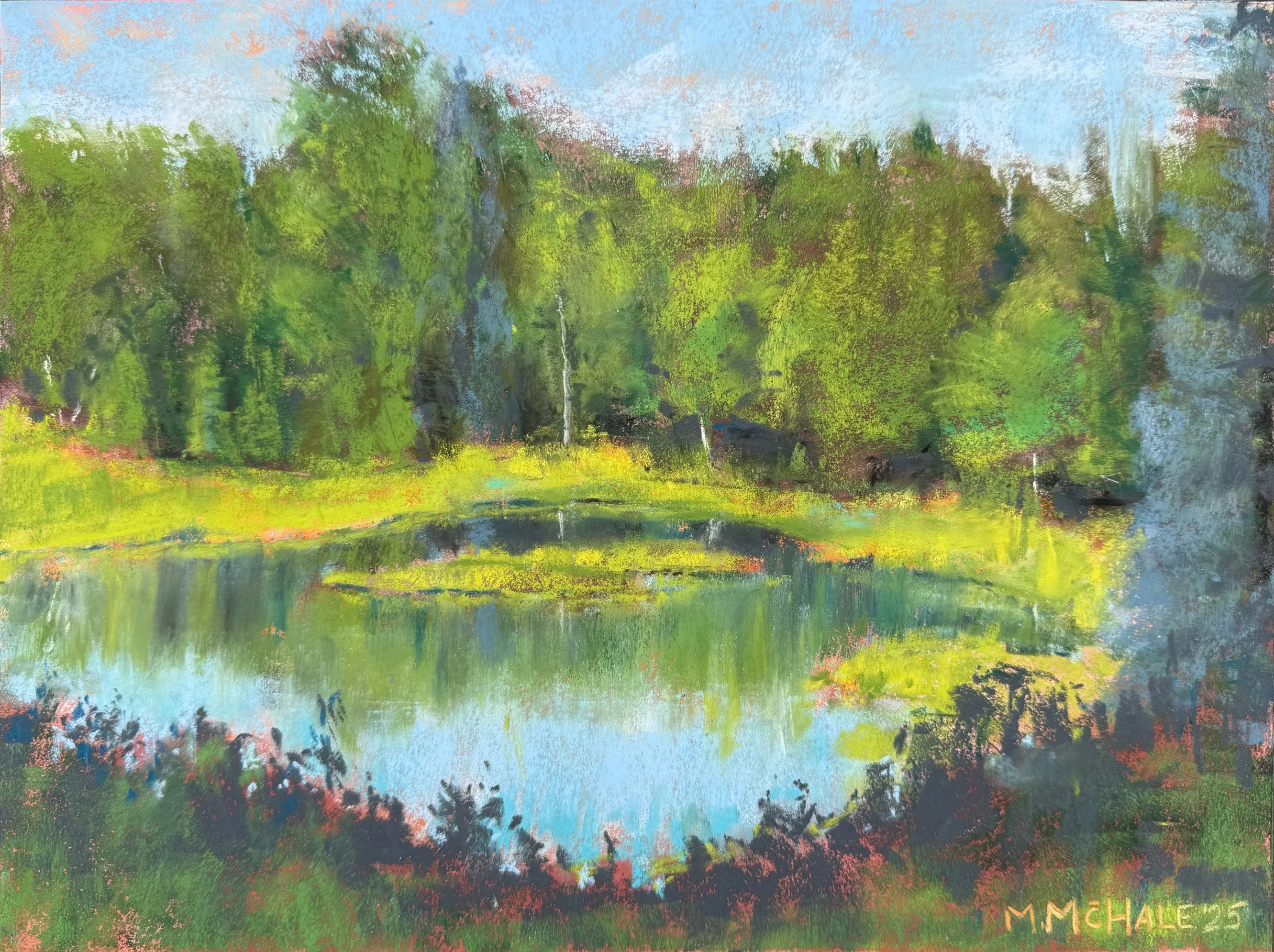 Levy's Summer Lake in Alaska
