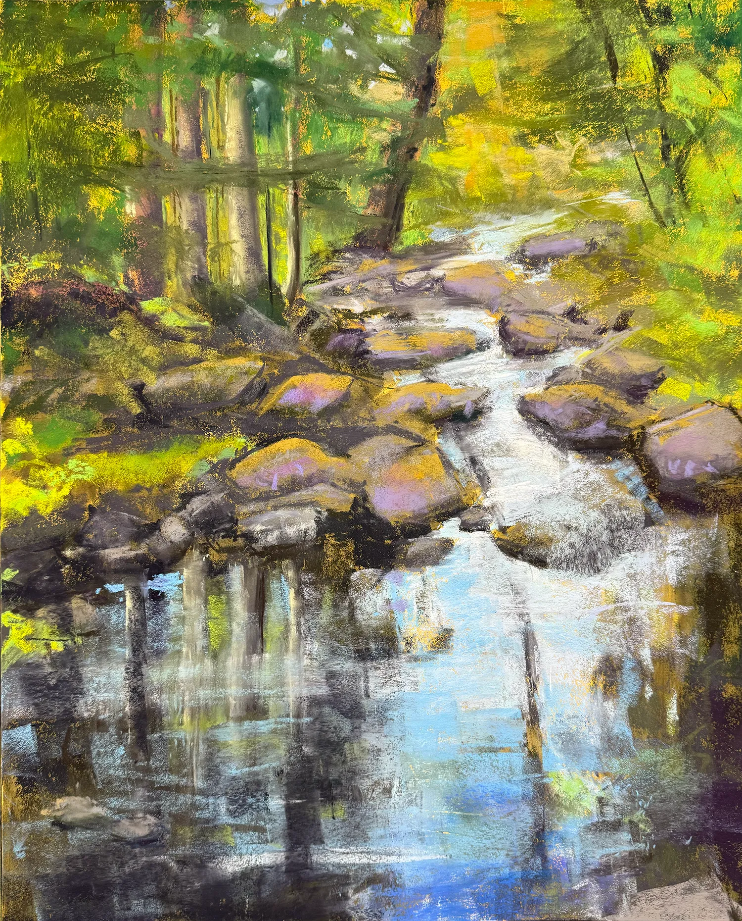 Stream in the Woods